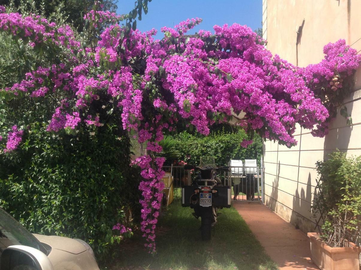 Apartamento A Casa Di Marcella Pisa